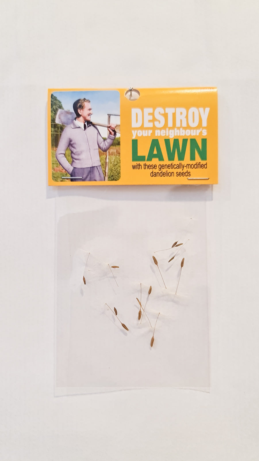 DESTROY YOUR NEIGHBOUR'S LAWN, 2020